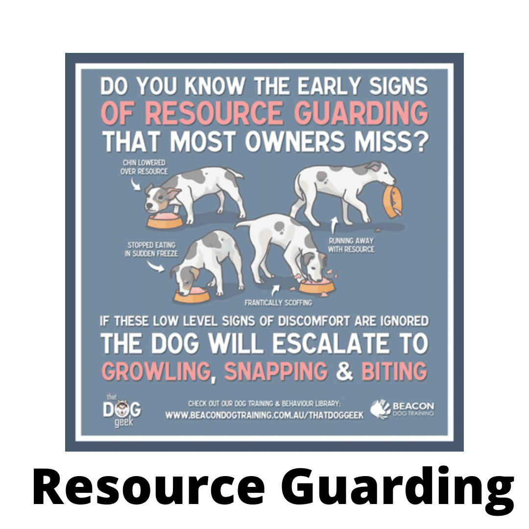 Dealing with resource guarding